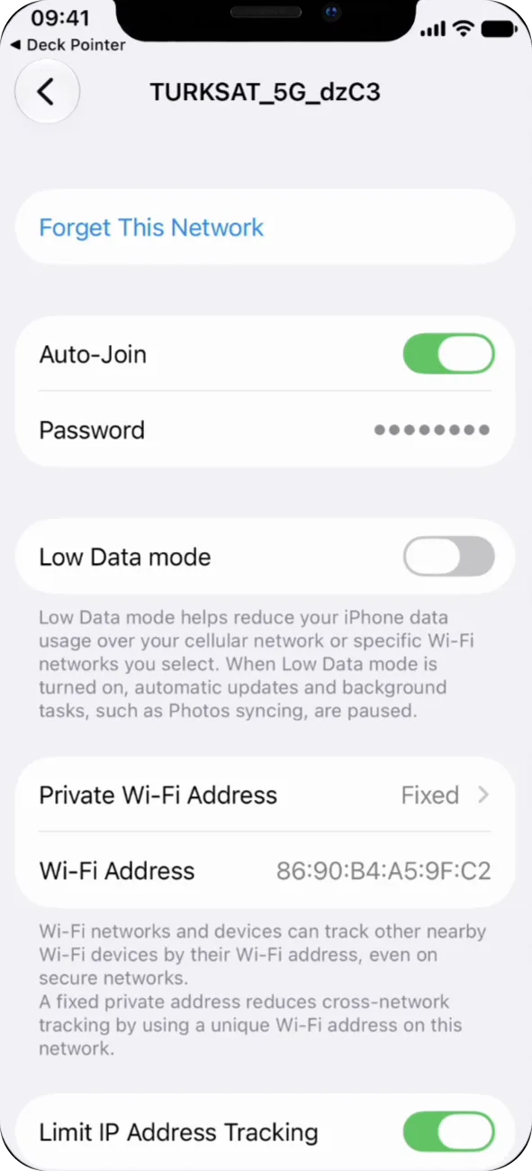 iPhone network details with the Password row hidden behind dots